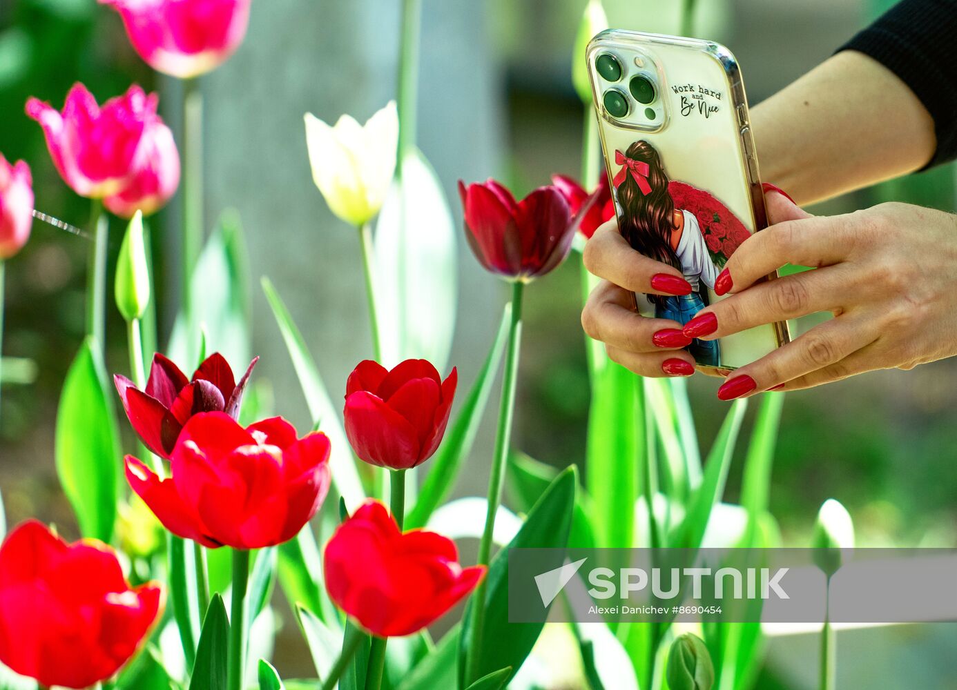 Russia Environment Tulips Festival