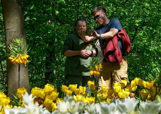 Russia Environment Tulips Festival