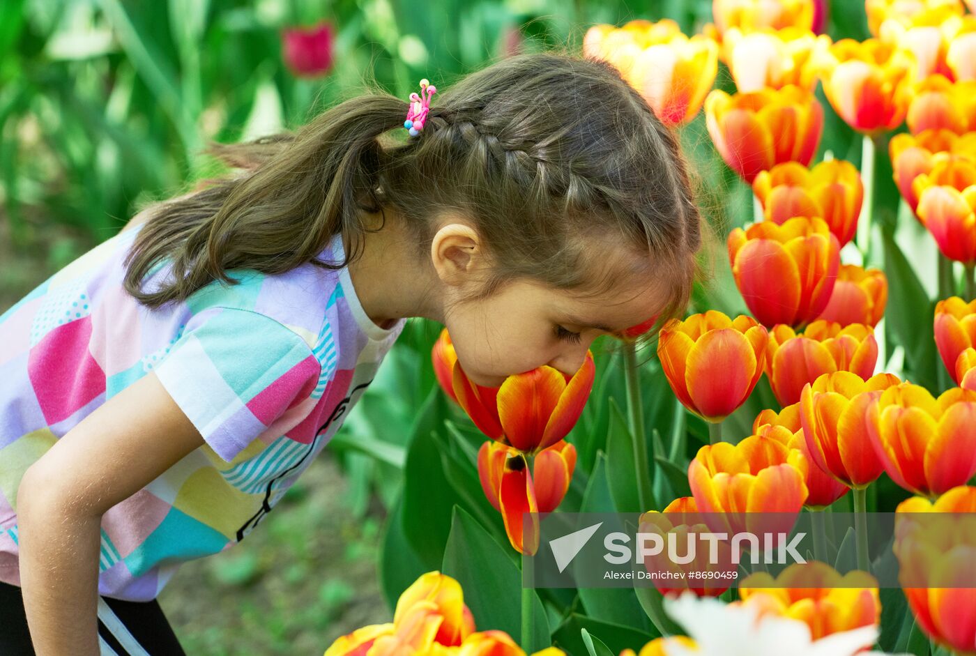 Russia Environment Tulips Festival