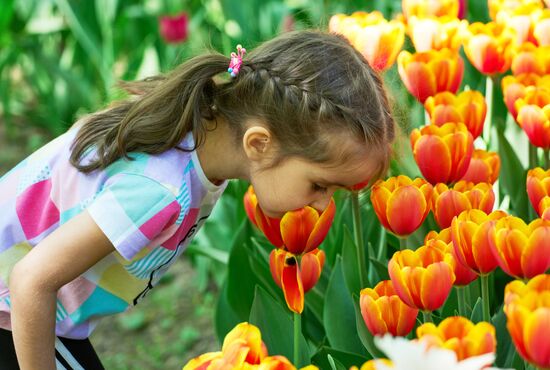 Russia Environment Tulips Festival