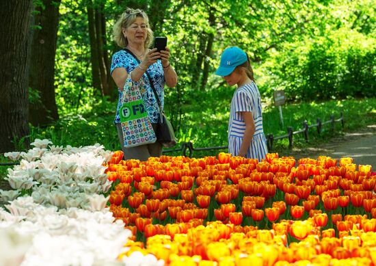 Russia Environment Tulips Festival
