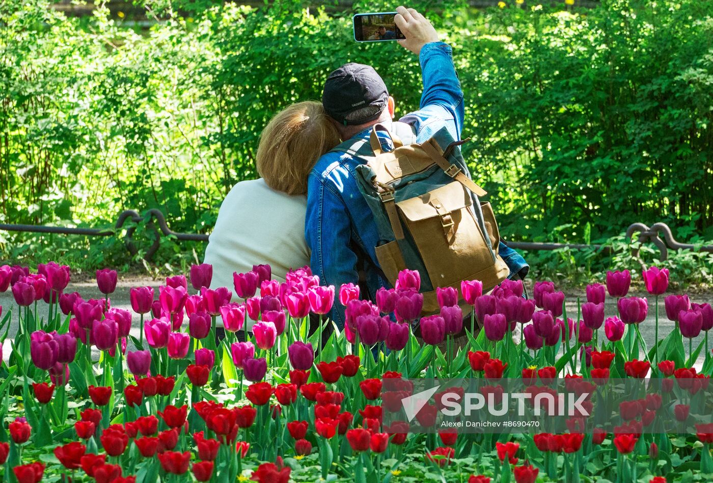 Russia Environment Tulips Festival