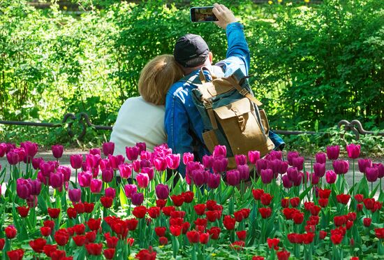 Russia Environment Tulips Festival