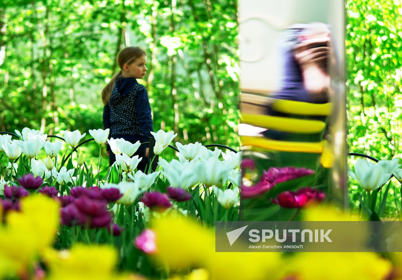 Russia Environment Tulips Festival
