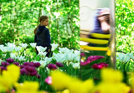 Russia Environment Tulips Festival