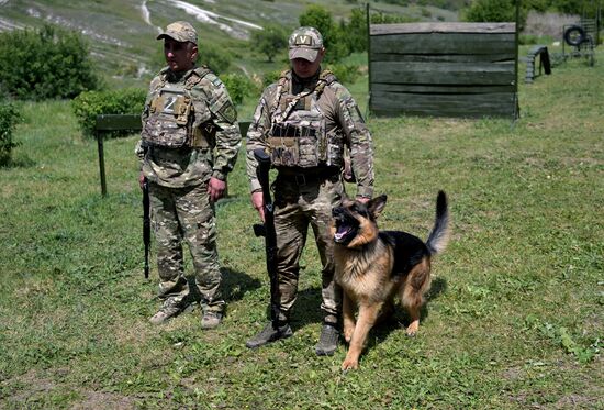 Russia Ukraine Military Operation Canine Service