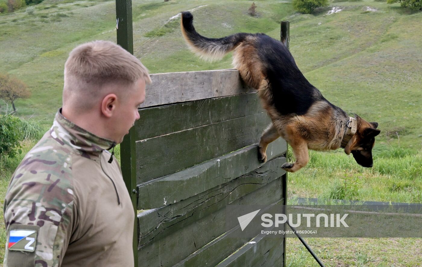 Russia Ukraine Military Operation Canine Service