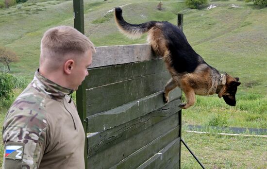 Russia Ukraine Military Operation Canine Service