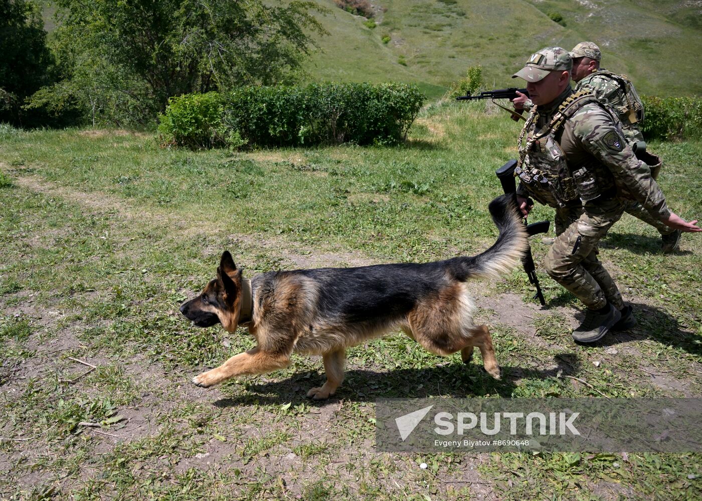 Russia Ukraine Military Operation Canine Service