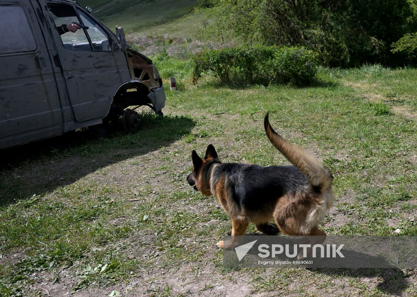 Russia Ukraine Military Operation Canine Service