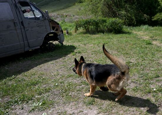 Russia Ukraine Military Operation Canine Service