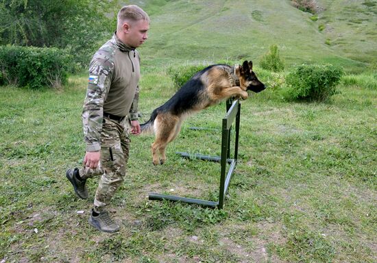 Russia Ukraine Military Operation Canine Service