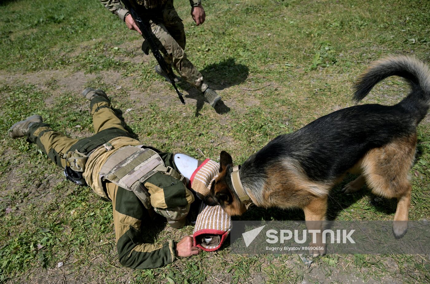 Russia Ukraine Military Operation Canine Service