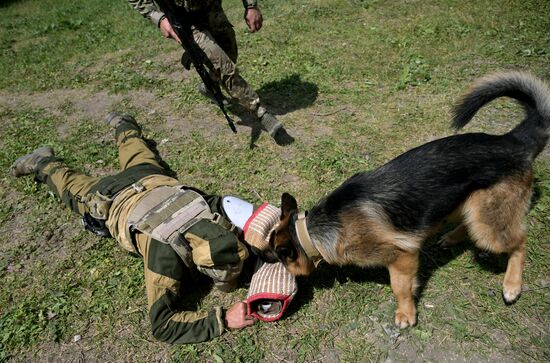 Russia Ukraine Military Operation Canine Service