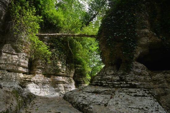 Russia Caucasus Tourism