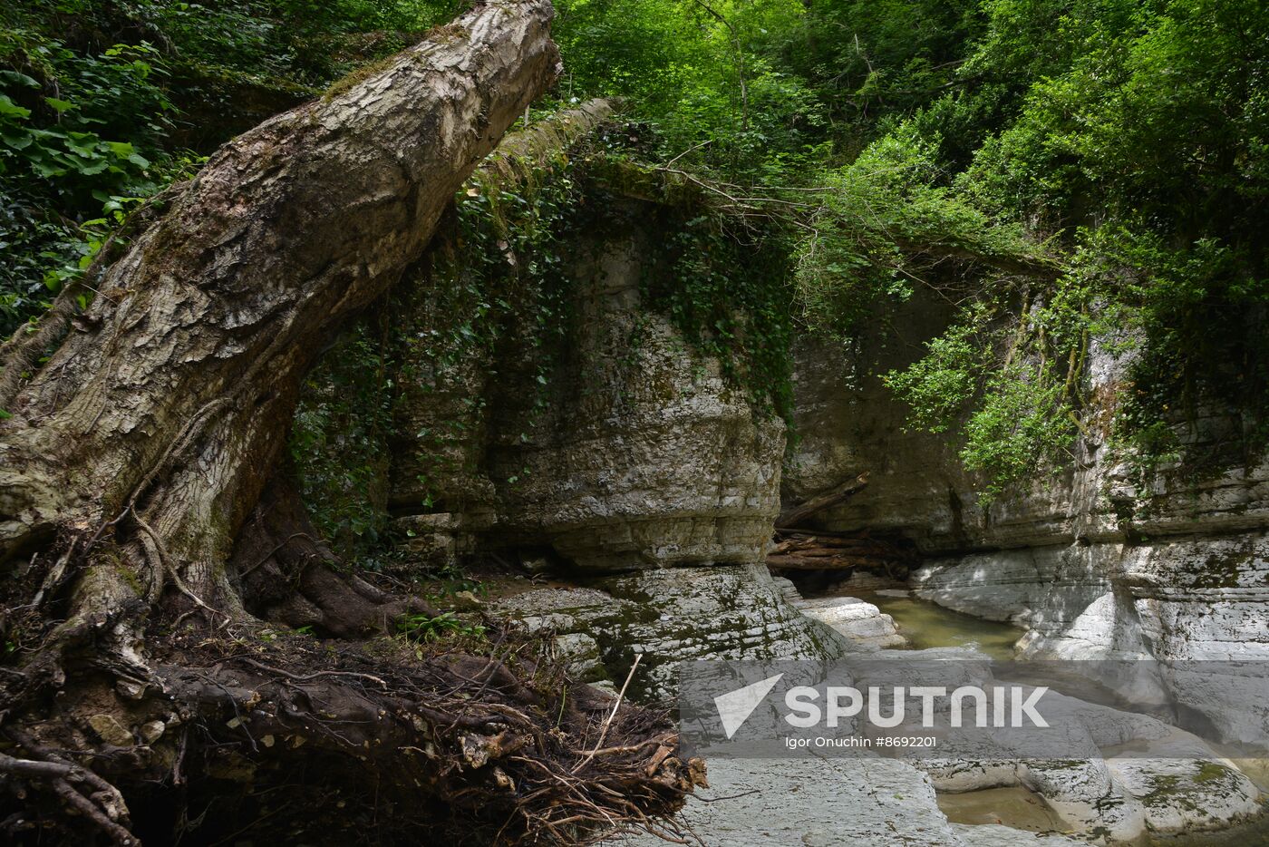 Russia Caucasus Tourism