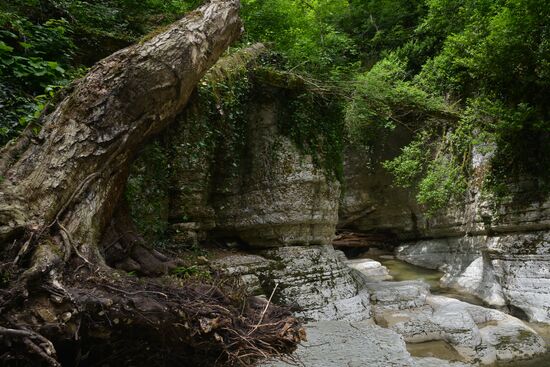 Russia Caucasus Tourism