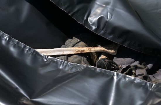 Russia Ukraine Military Operation Human Remains Search