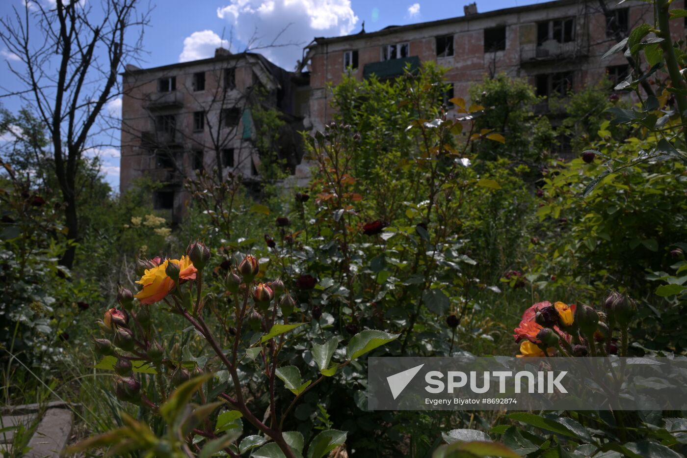 Russia Ukraine Military Operation Toshkovka