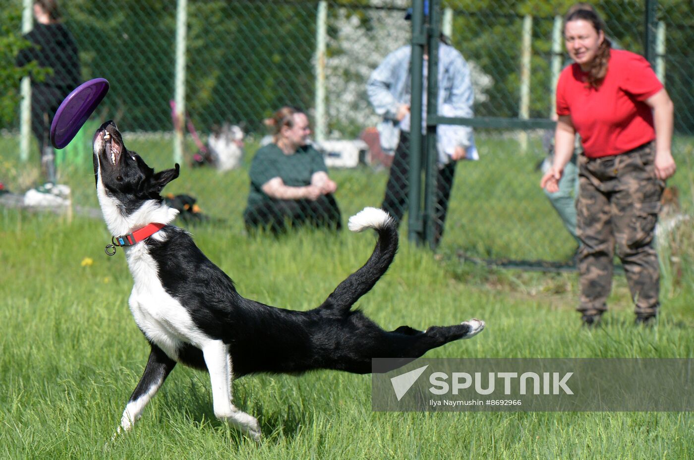 Russia Canine Competition