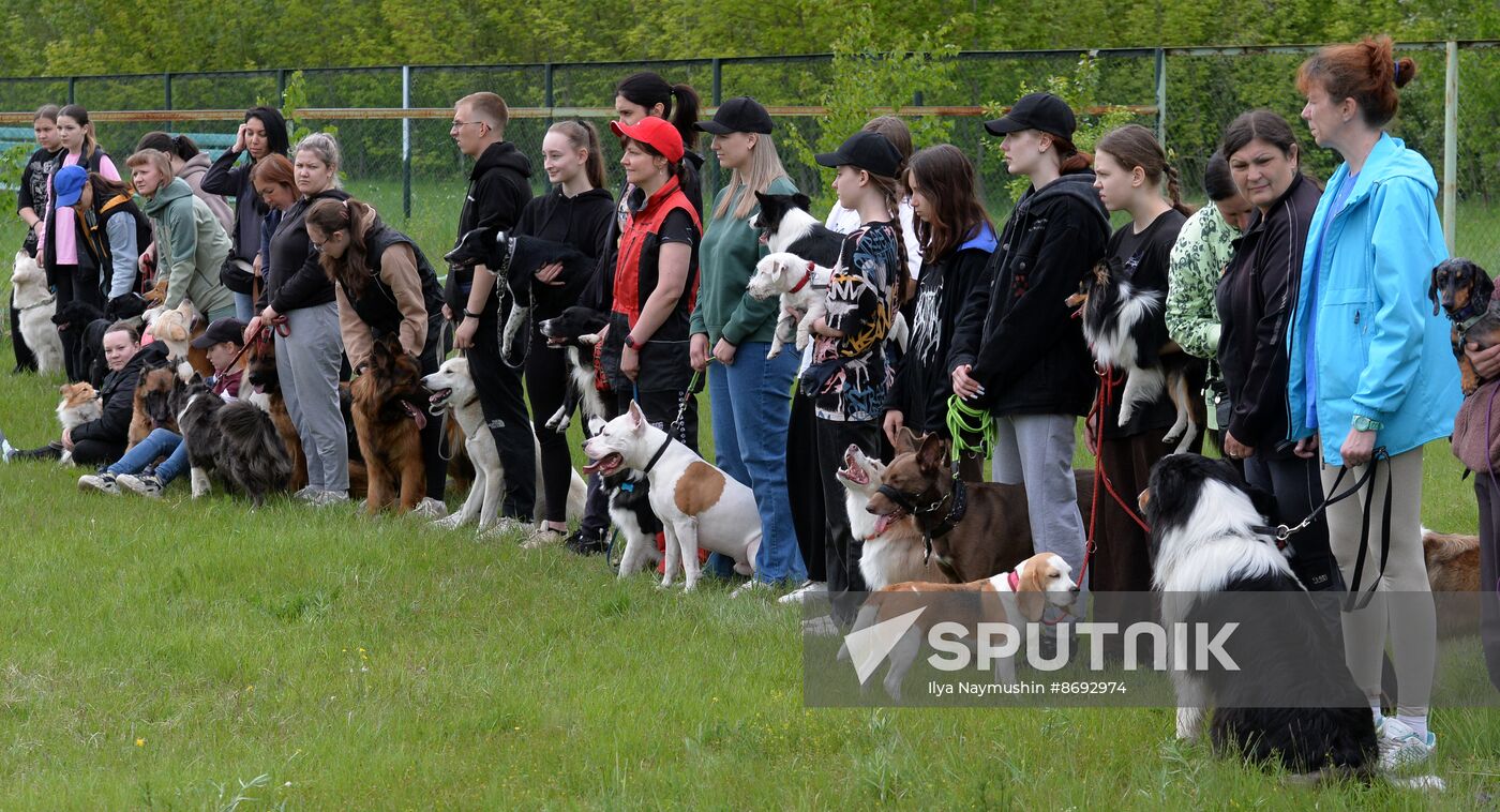 Russia Canine Competition