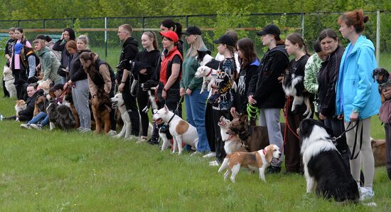 Russia Canine Competition