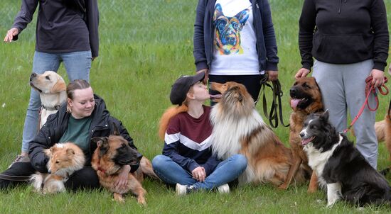 Russia Canine Competition