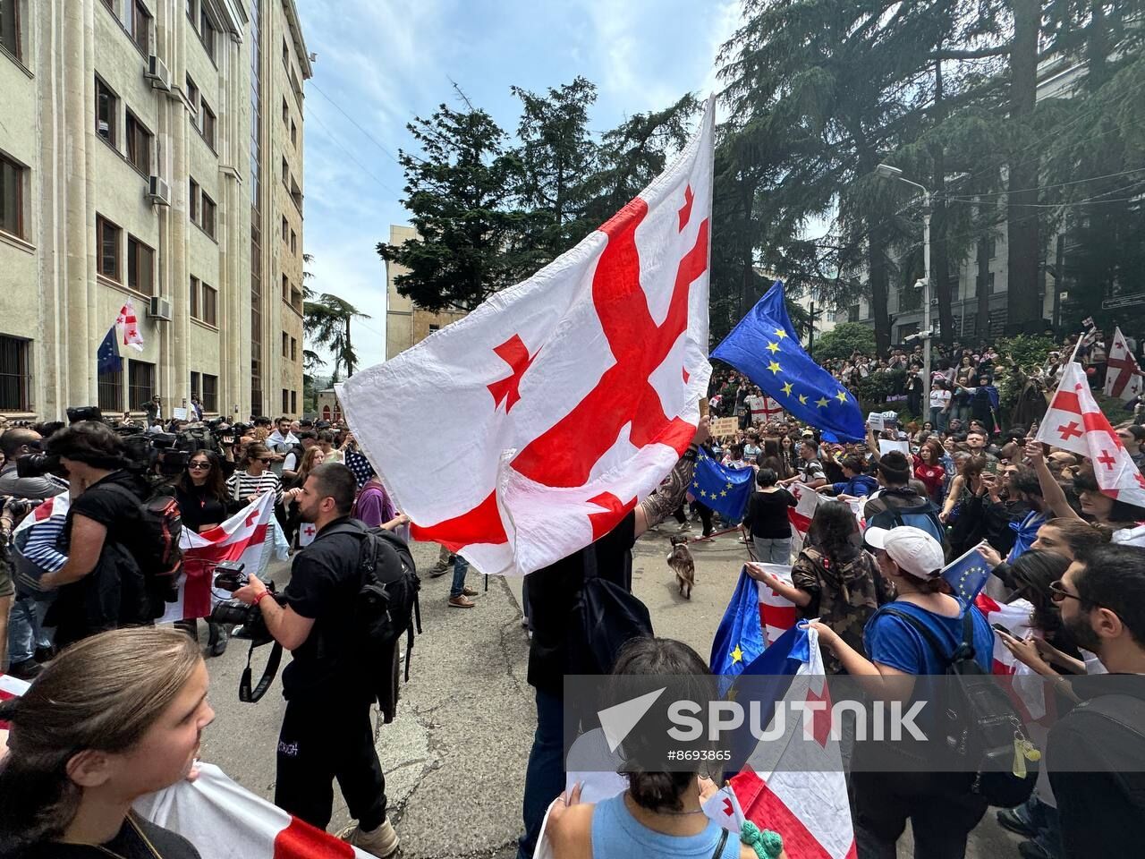 Georgia Protests