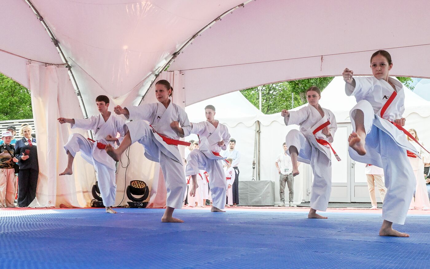 RUSSIA EXPO. Moscow Martial Arts Festival opening ceremony