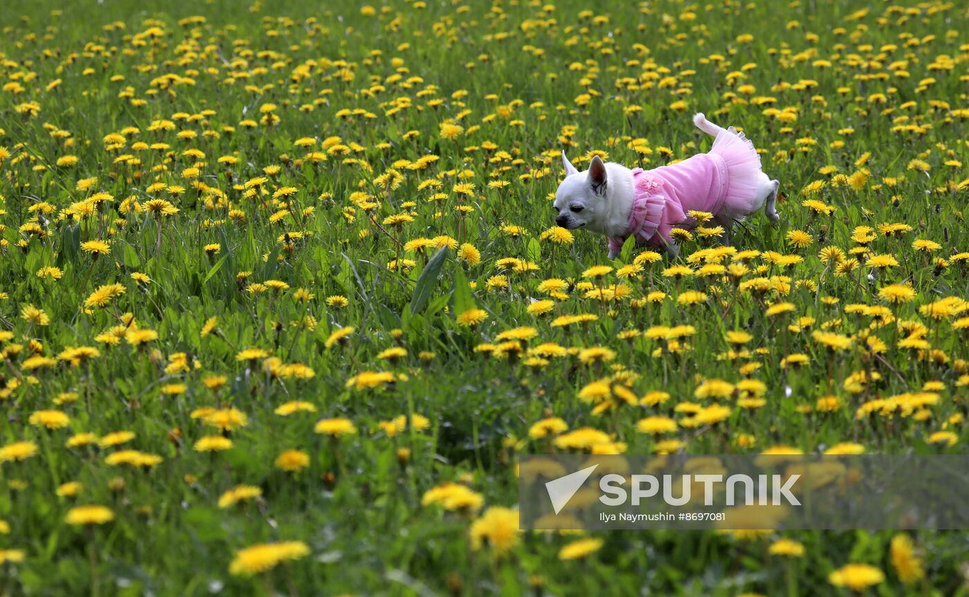 Russia Daily Life