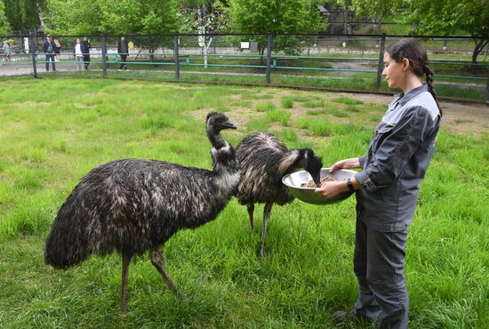 Russia Zoo