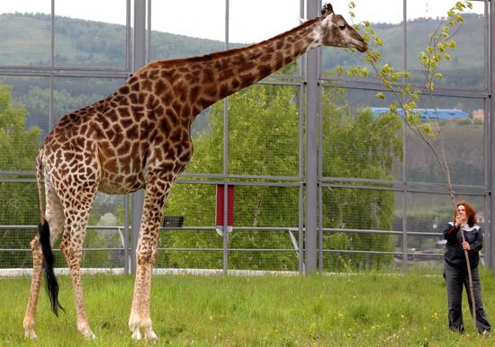 Russia Zoo