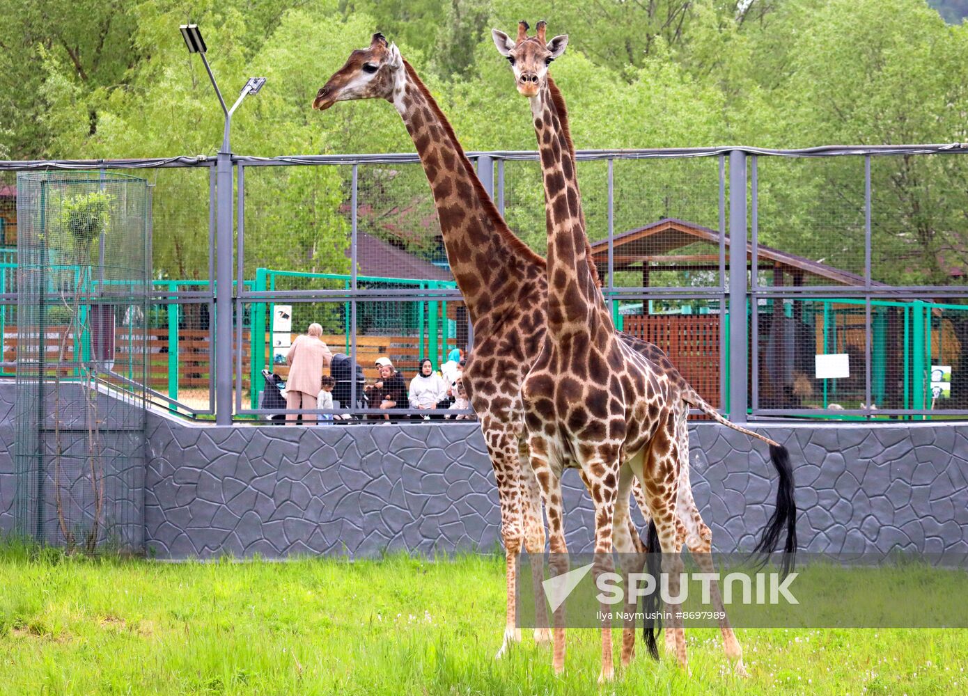 Russia Zoo