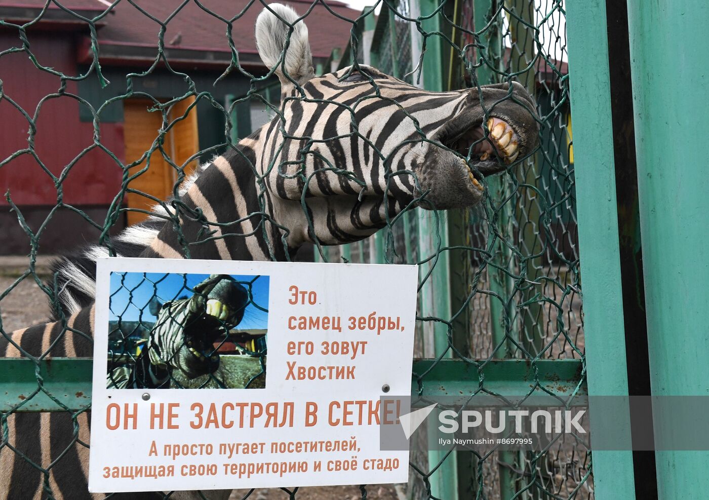 Russia Zoo