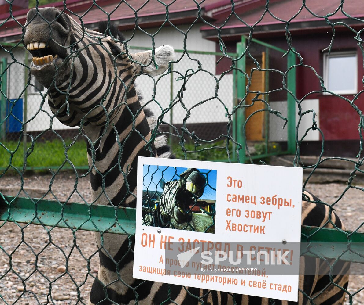 Russia Zoo