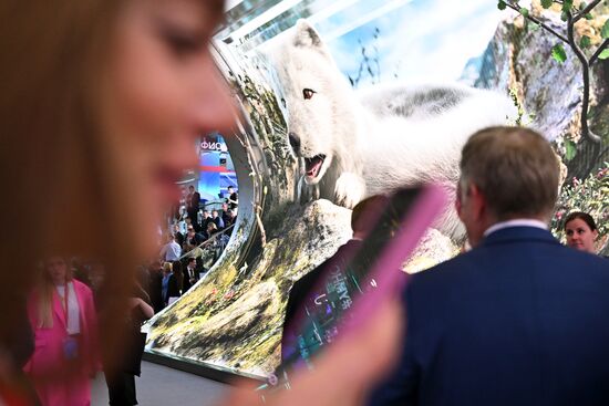 SPIEF-2024. Forum events