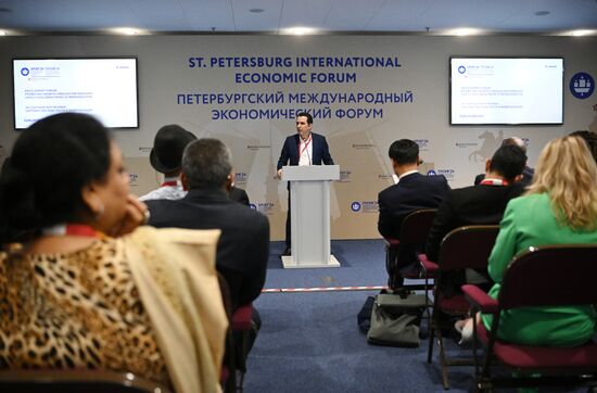 SPIEF-2024. BRICS Expert Forum