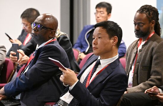 SPIEF-2024. BRICS Expert Forum