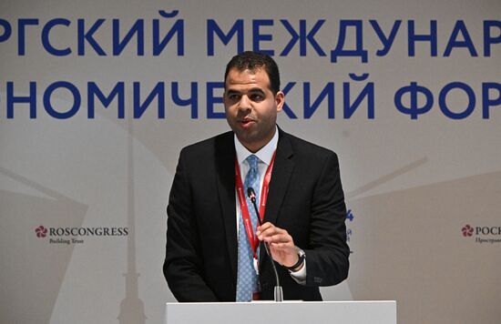 SPIEF-2024. BRICS Expert Forum