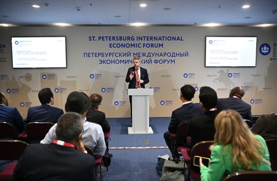 SPIEF-2024. BRICS Expert Forum