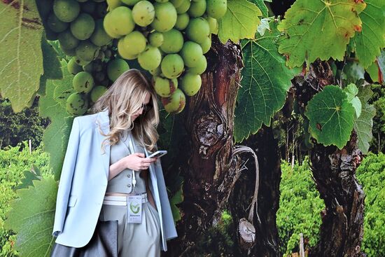 SPIEF-2024. Forum events