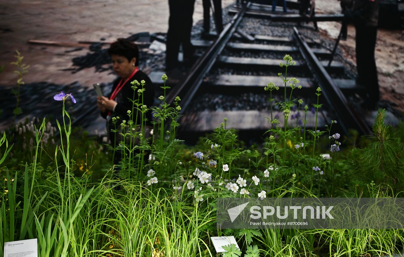 SPIEF-2024. Forum events