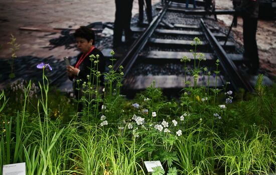 SPIEF-2024. Forum events