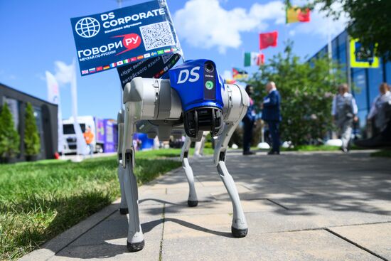 SPIEF-2024. Forum events