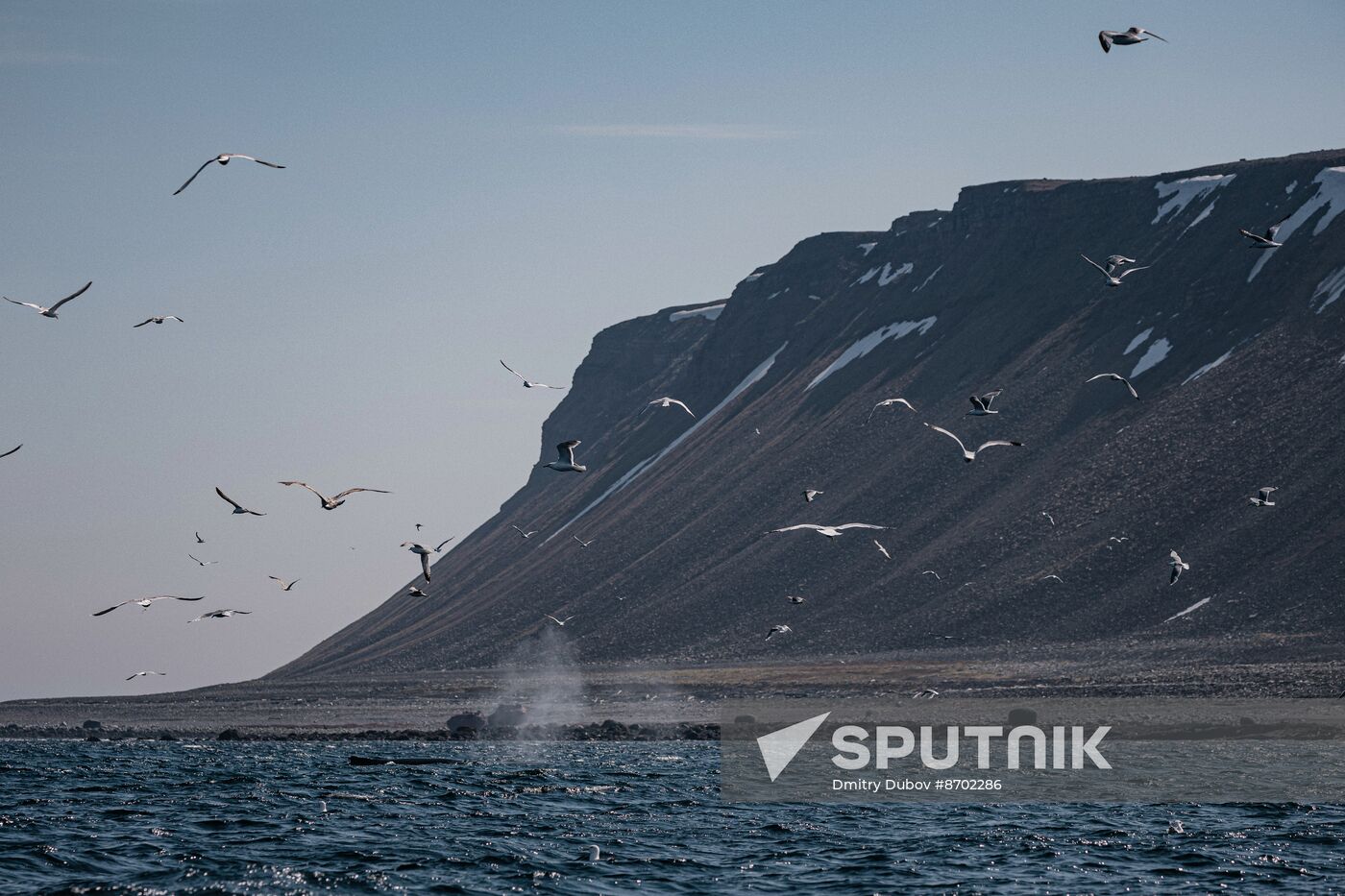 Russia Environment Kola Bay