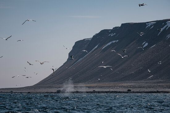 Russia Environment Kola Bay