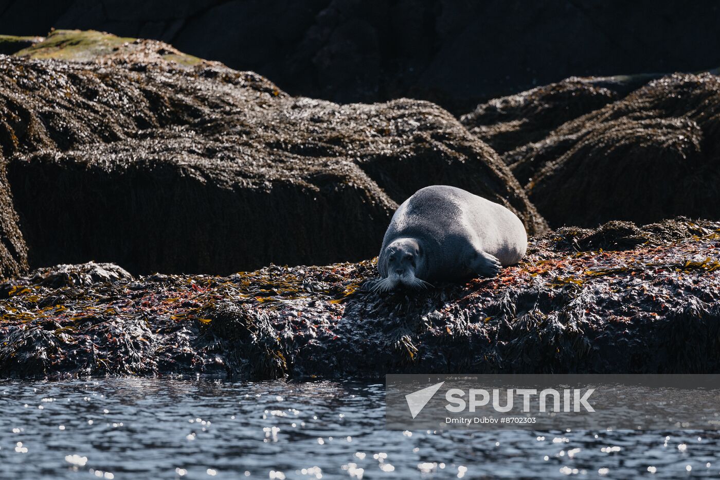 Russia Environment Kola Bay