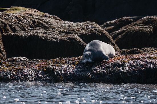 Russia Environment Kola Bay