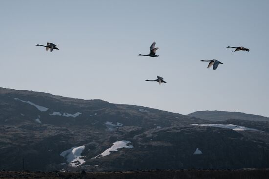 Russia Environment Kola Bay