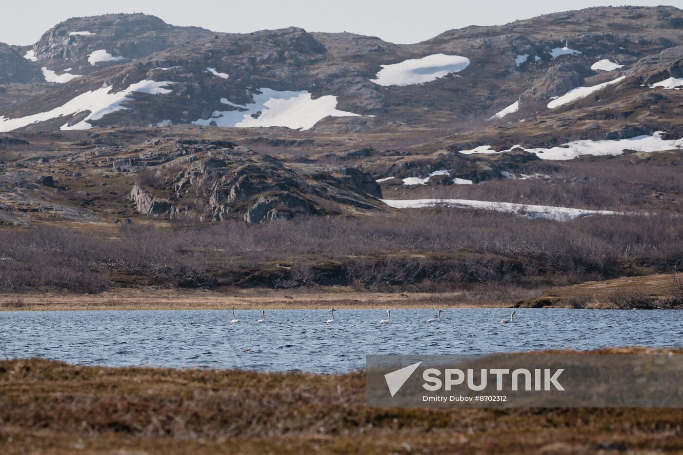 Russia Environment Kola Bay